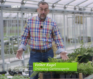 SWR »Grünzeug« SWR »Grünzeug«